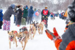 Trail Sled Dog Race outside Government Repair Ice Shack Trail Sled Dog Race outside Government Repair Ice Shack